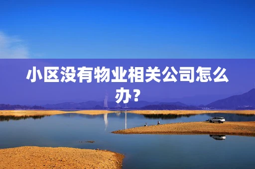 小区没有物业相关公司怎么办？