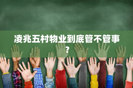 凌兆五村物业到底管不管事？