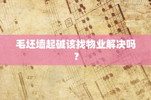 毛坯墙起碱该找物业解决吗？