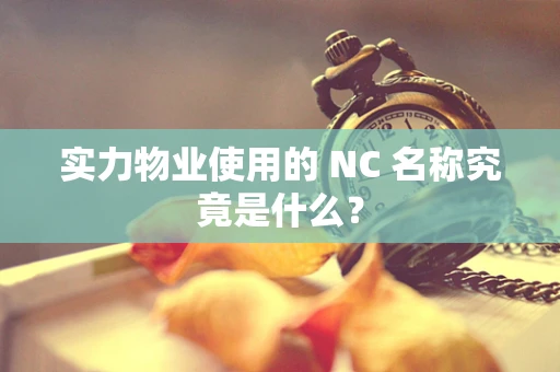 实力物业使用的 NC 名称究竟是什么？
