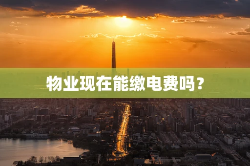 物业现在能缴电费吗？