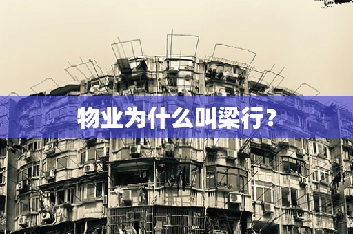 物业为什么叫梁行？