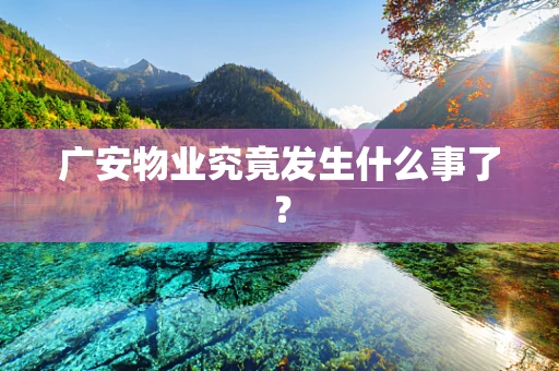 广安物业究竟发生什么事了？