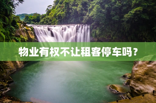 物业有权不让租客停车吗？