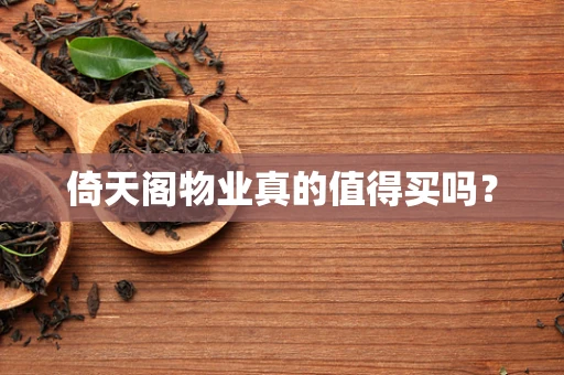 倚天阁物业真的值得买吗？