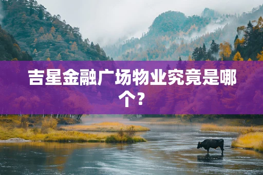 吉星金融广场物业究竟是哪个？