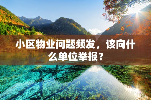 小区物业问题频发，该向什么单位举报？
