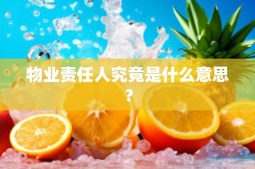 物业责任人究竟是什么意思？