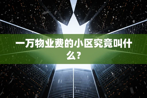 一万物业费的小区究竟叫什么？