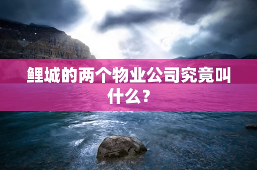 鲤城的两个物业公司究竟叫什么？