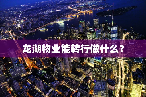 龙湖物业能转行做什么？