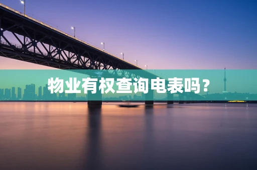 物业有权查询电表吗？