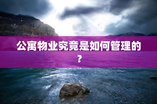 公寓物业究竟是如何管理的？
