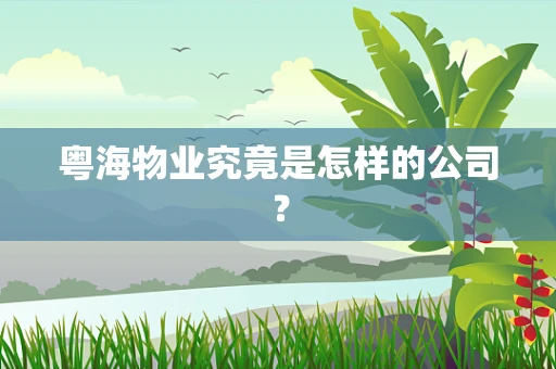 粤海物业究竟是怎样的公司？