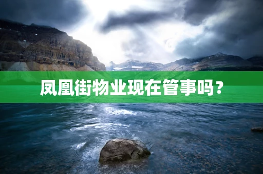 凤凰街物业现在管事吗？