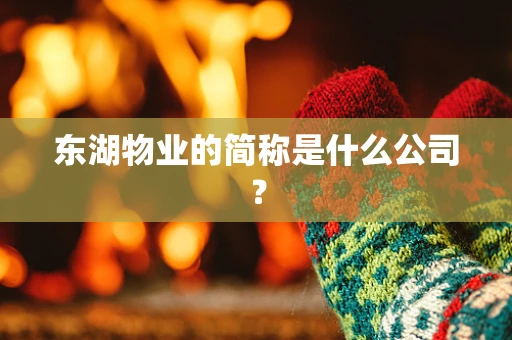 东湖物业的简称是什么公司？