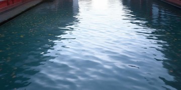 南浔月亮湾物业正规吗？