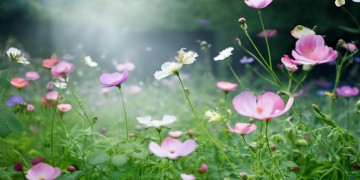 现在国家物业有补助吗？