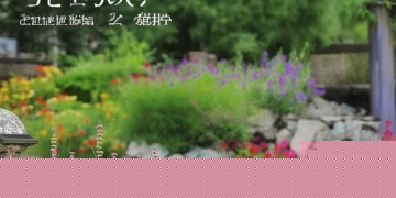 居委可以命令物业吗？