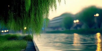 漳州江滨物业停车收费吗？